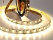FLCCT Pro 2IN1 3838 • CCT - 24V - 11W/m • 120LEDs/m