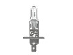 H1 - N448S • Standard 55W