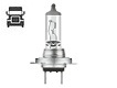 H7 - N499A • Standard 70W