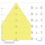 ldc-cone_1596013332.jpg