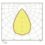 ldc-polar_1596013332.jpg