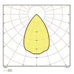 ldc-polar_1596023774.jpg